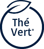 the-vert