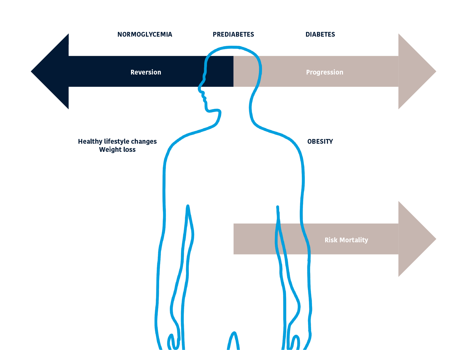 ThePrevalence of Obesity and Diabetes